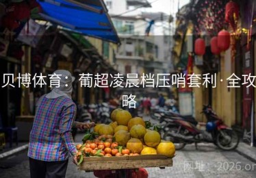 贝博体育：葡超凌晨档压哨套利·全攻略