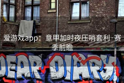 爱游戏app：意甲加时夜压哨套利·赛季前瞻