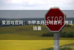 爱游戏官网：中甲本月压哨套利·押注锦囊