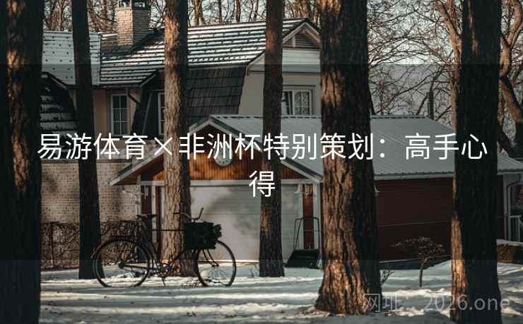 易游体育×非洲杯特别策划：高手心得