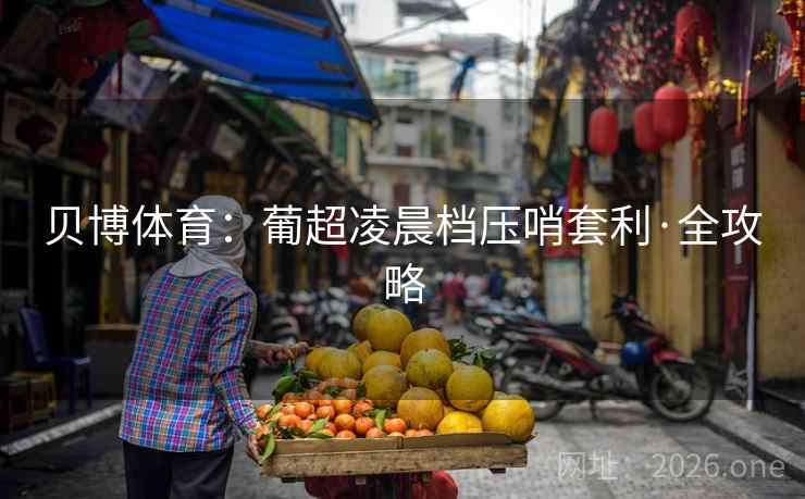 贝博体育：葡超凌晨档压哨套利·全攻略