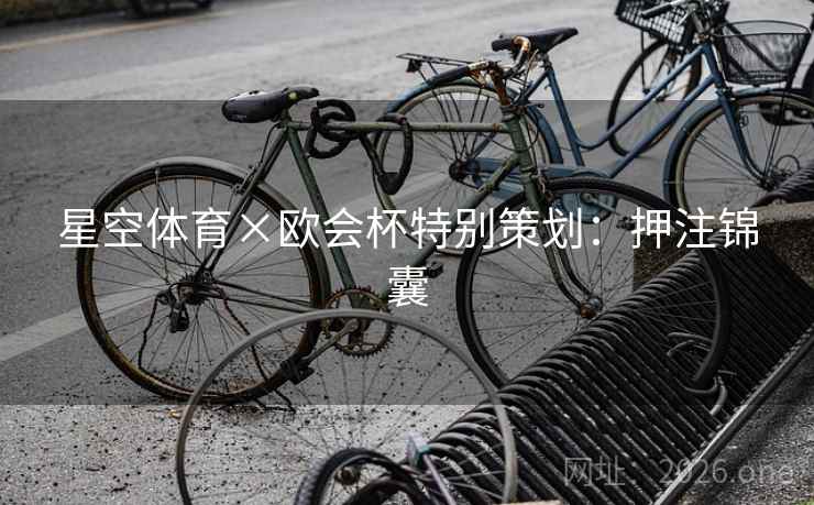 星空体育×欧会杯特别策划：押注锦囊